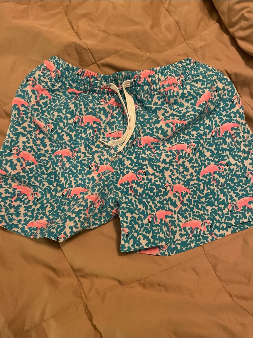 chubbies Teal and Pink Flamingo Swim Trunks